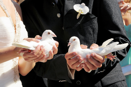 Brautpaar haelt jeweils weie Hochzeitstaube in der Hand